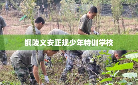 铜陵义安正规少年特训学校