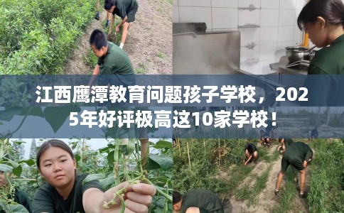 江西鹰潭教育问题孩子学校，2025年好评极高这10家学校！