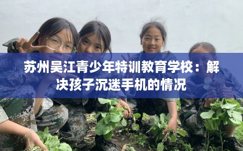 苏州吴江青少年特训教育学校：解决孩子沉迷手机的情况