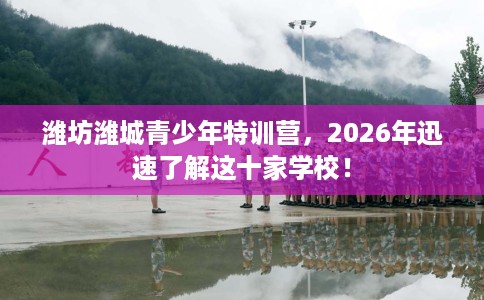 潍坊潍城青少年特训营，2026年迅速了解这十家学校！