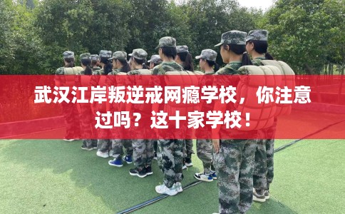 武汉江岸叛逆戒网瘾学校，你注意过吗？这十家学校！