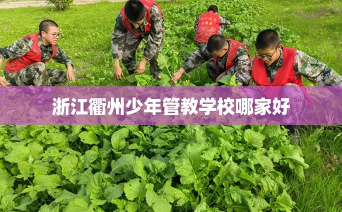 浙江衢州少年管教学校哪家好