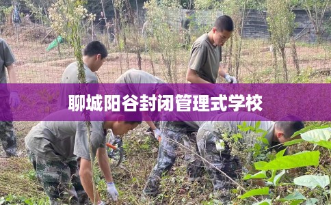 聊城阳谷封闭管理式学校