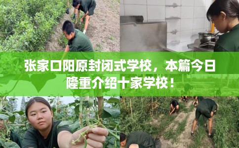 张家口阳原封闭式学校，本篇今日隆重介绍十家学校！