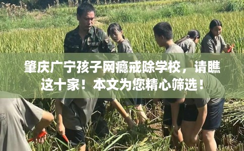 肇庆广宁孩子网瘾戒除学校，请瞧这十家！本文为您精心筛选！