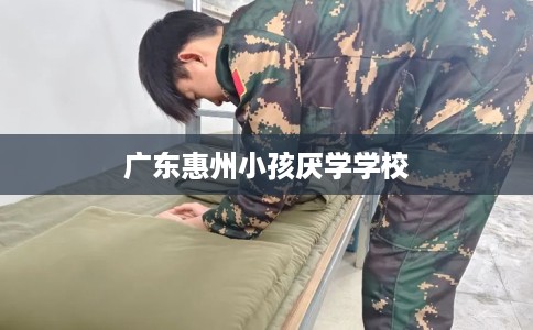 广东惠州小孩厌学学校