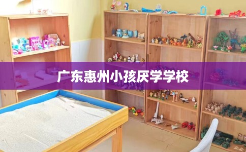 广东惠州小孩厌学学校