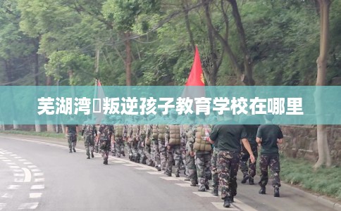芜湖湾沚叛逆孩子教育学校在哪里