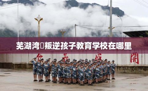 芜湖湾沚叛逆孩子教育学校在哪里