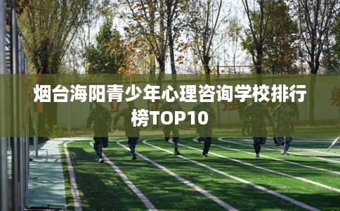 烟台海阳青少年心理咨询学校排行榜TOP10