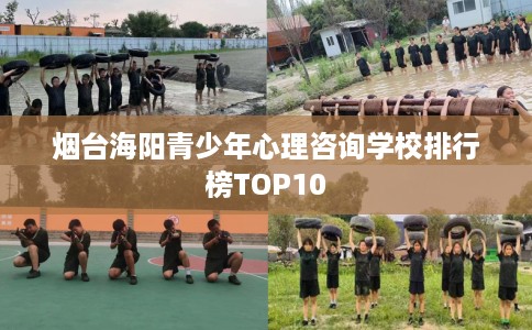 烟台海阳青少年心理咨询学校排行榜TOP10