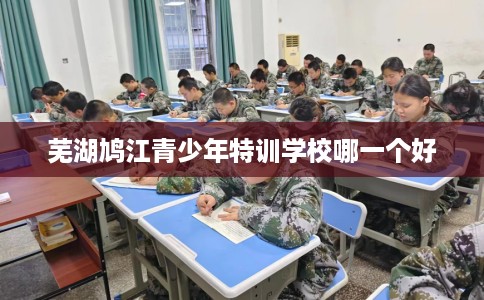 芜湖鸠江青少年特训学校哪一个好