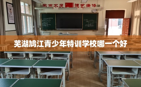 芜湖鸠江青少年特训学校哪一个好