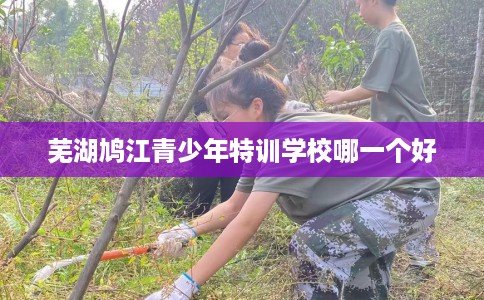 芜湖鸠江青少年特训学校哪一个好