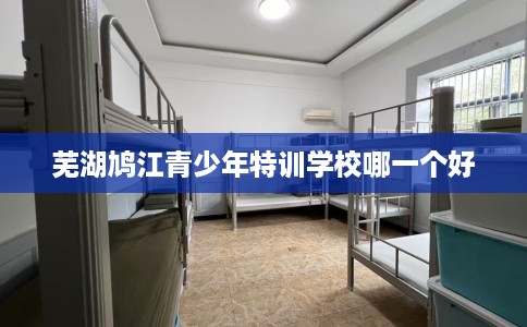 芜湖鸠江青少年特训学校哪一个好