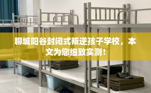 聊城阳谷封闭式叛逆孩子学校，本文为您细致实测！