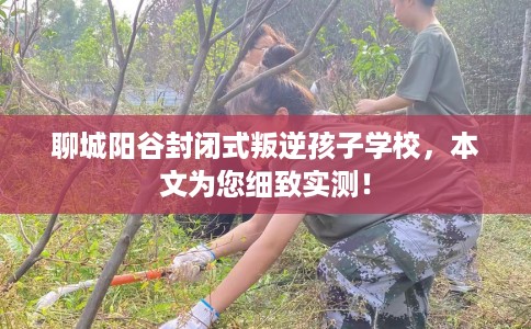 聊城阳谷封闭式叛逆孩子学校，本文为您细致实测！