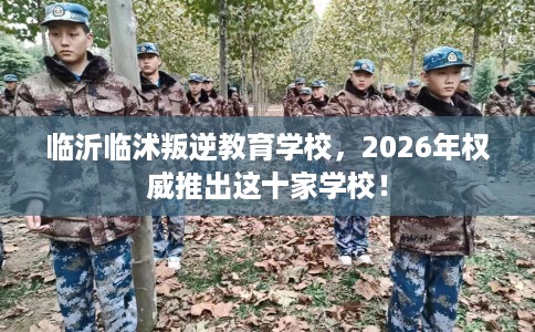临沂临沭叛逆教育学校，2026年权威推出这十家学校！