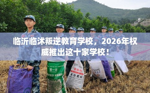 临沂临沭叛逆教育学校，2026年权威推出这十家学校！