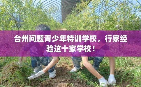 台州问题青少年特训学校，行家经验这十家学校！