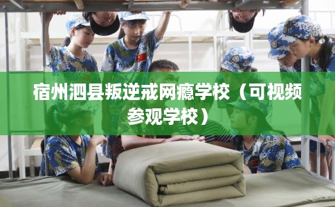 宿州泗县叛逆戒网瘾学校（可视频参观学校）