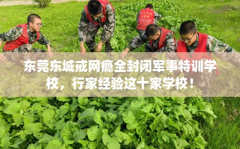 东莞东城戒网瘾全封闭军事特训学校，行家经验这十家学校！