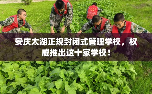 安庆太湖正规封闭式管理学校，权威推出这十家学校！