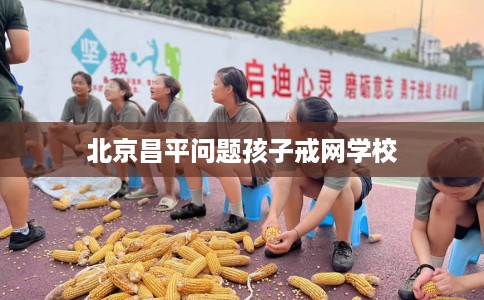 北京昌平问题孩子戒网学校