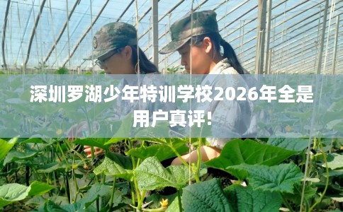 深圳罗湖少年特训学校2026年全是用户真评!