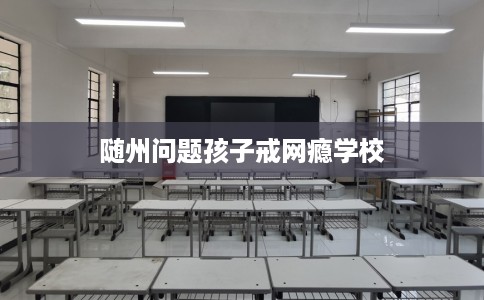 随州问题孩子戒网瘾学校