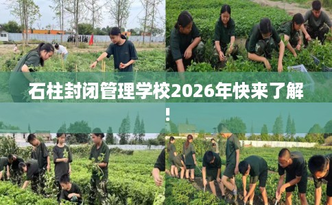 石柱封闭管理学校2026年快来了解!