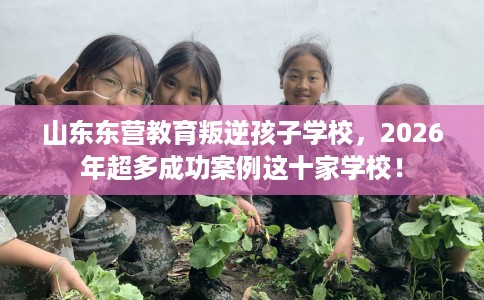 山东东营教育叛逆孩子学校，2026年超多成功案例这十家学校！