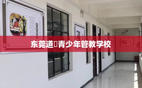 东莞道滘青少年管教学校