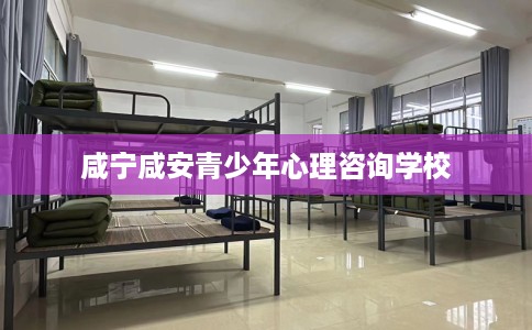 咸宁咸安青少年心理咨询学校