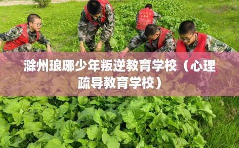 滁州琅琊少年叛逆教育学校（心理疏导教育学校）