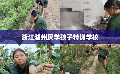 浙江湖州厌学孩子特训学校