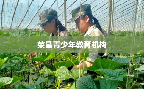 荣昌青少年教育机构