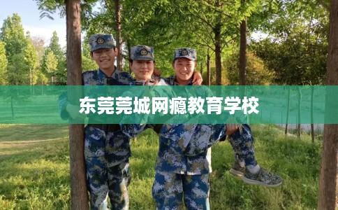 东莞莞城网瘾教育学校