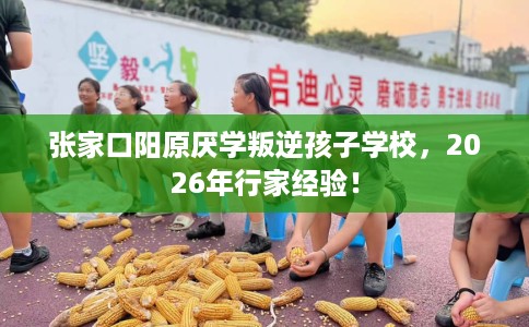张家口阳原厌学叛逆孩子学校，2026年行家经验！