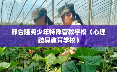 邢台隆尧少年特殊管教学校（心理疏导教育学校）