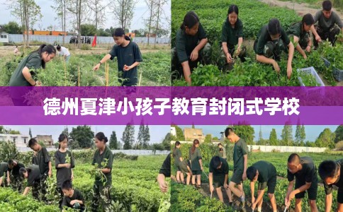 德州夏津小孩子教育封闭式学校