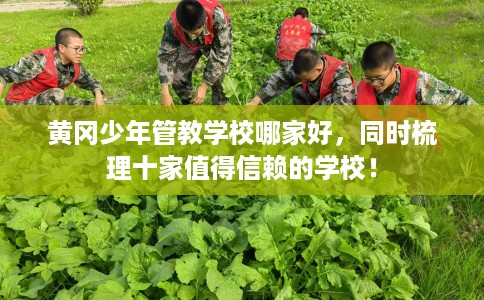 黄冈少年管教学校哪家好，同时梳理十家值得信赖的学校！