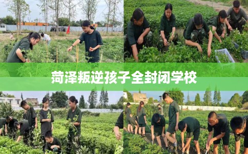 菏泽叛逆孩子全封闭学校 菏泽叛逆孩子全封闭学校