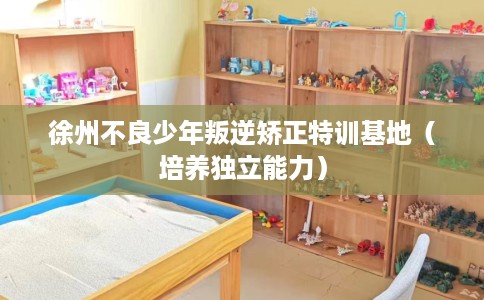 徐州不良少年叛逆矫正特训基地（培养独立能力）