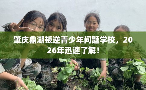 肇庆鼎湖叛逆青少年问题学校，2026年迅速了解！