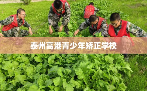 泰州高港青少年矫正学校