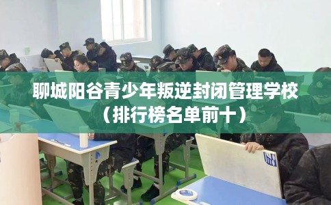聊城阳谷青少年叛逆封闭管理学校(排行榜名单前十) 聊城阳谷青少年叛逆封闭管理学校(排行榜名单前十)