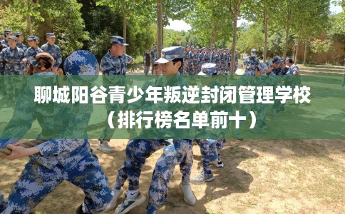 聊城阳谷青少年叛逆封闭管理学校(排行榜名单前十) 聊城阳谷青少年叛逆封闭管理学校(排行榜名单前十)