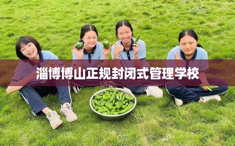 淄博博山正规封闭式管理学校