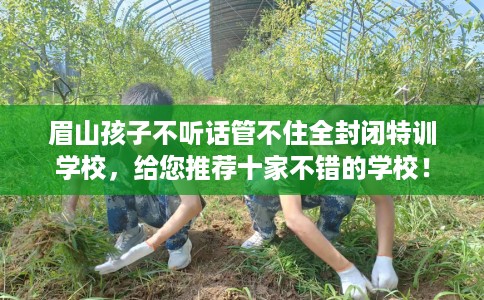 眉山孩子不听话管不住全封闭特训学校，给您推荐十家不错的学校！